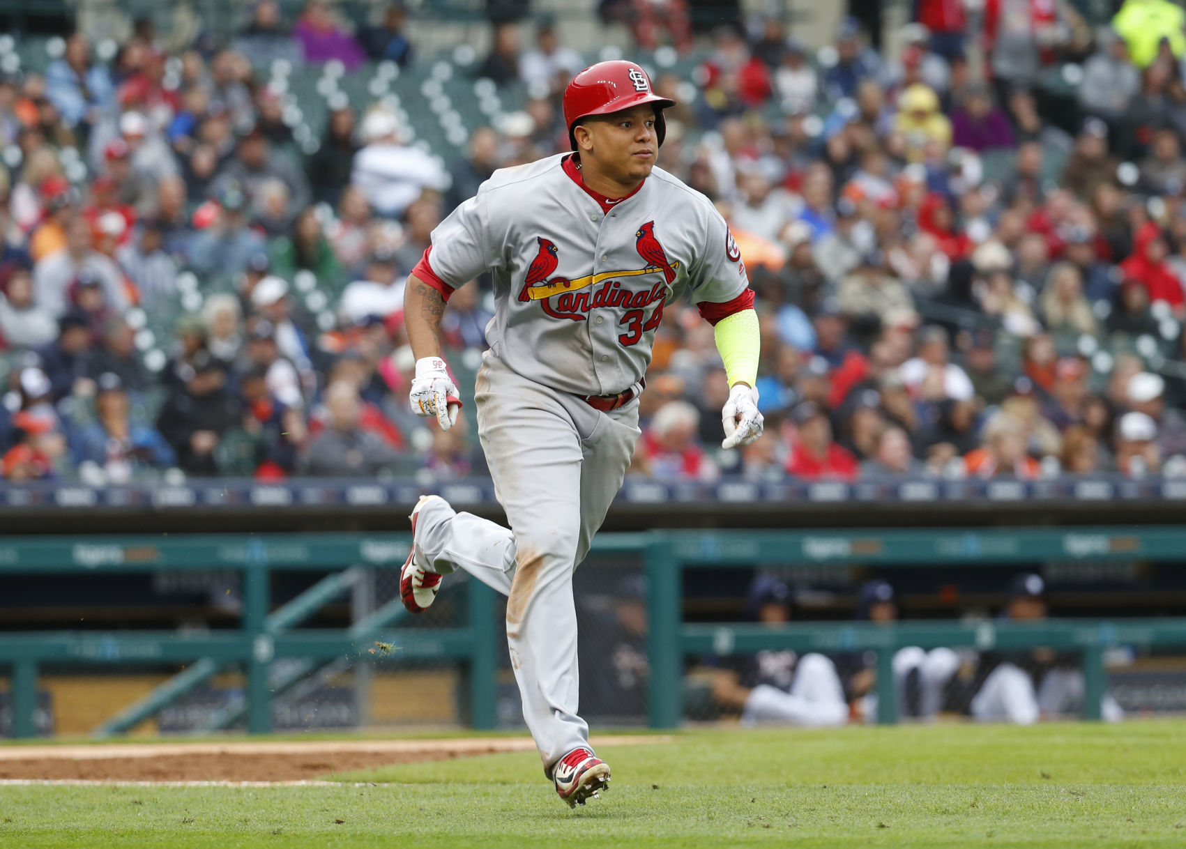 Cardinals Tigers Baseball